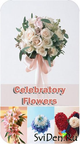 Stock Photos - Celebratory Flowers