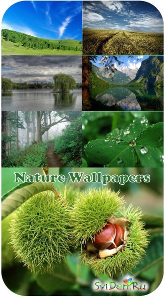 Beautiful Nature Wallpapers