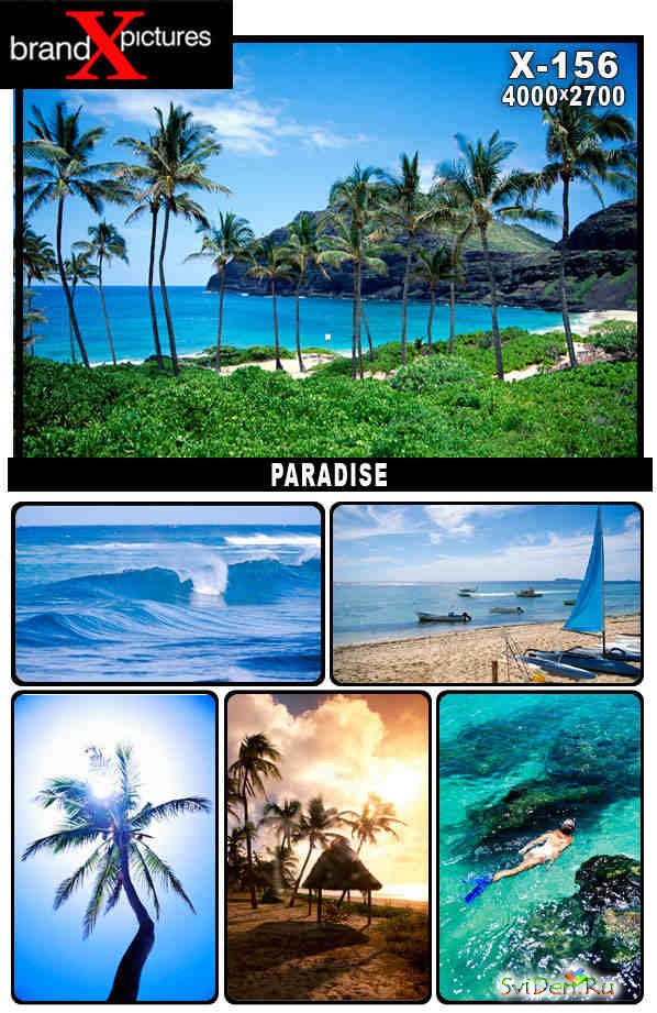 Brand X Pictures | X-156 | Paradise
