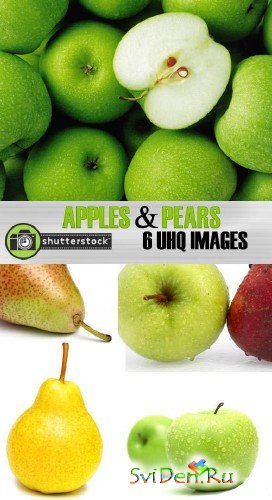 Clipart - Amazing SS - Apples and Pears