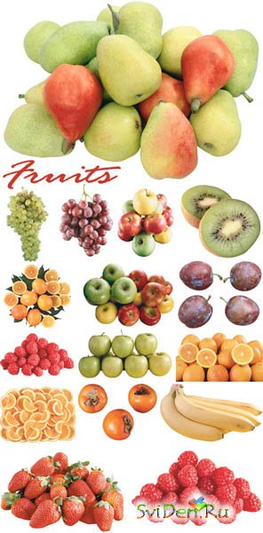Clipart - Fruits