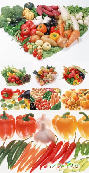 Clipart - Vegetables season