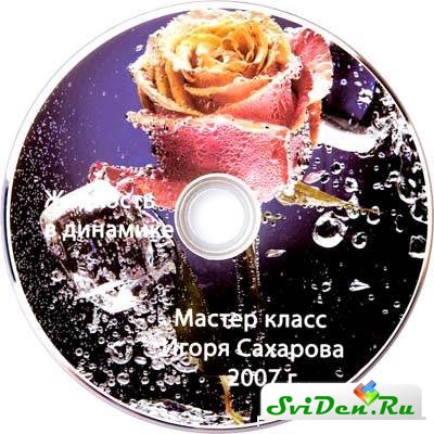 -  :    (2007) DVDRip