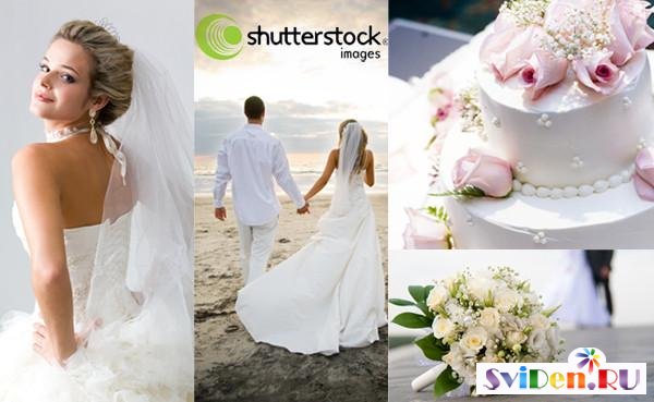 Shutterstock - Weddings, brides and wedding cakes