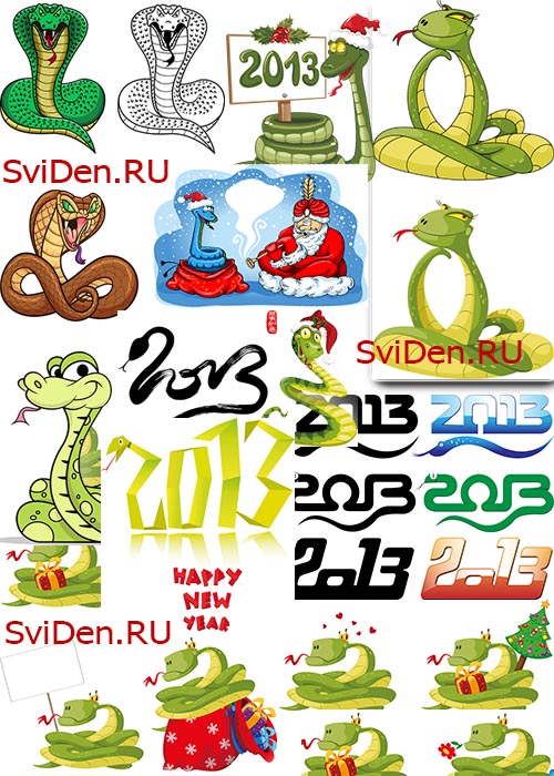 2013 -   | Snake 2013 in vector