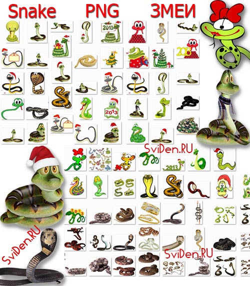  PNG  | Snakes PNG clipart