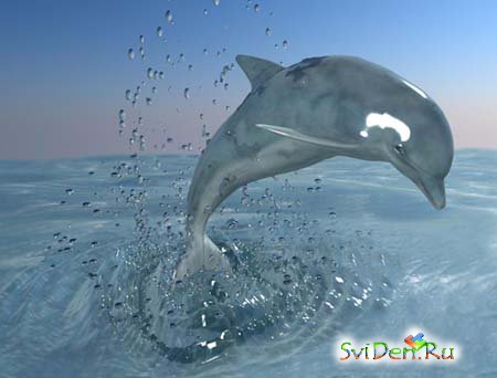 Дельфин Dolphin 3D Max 2008 Model