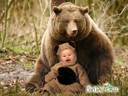 Children's template for a photoshop - a small Bear with Mum