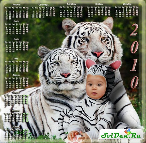 Шаблон для малыша + календарь - Семья белых тигров