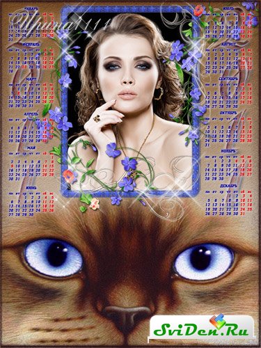 Календарь 2011 - Взгляд кошки