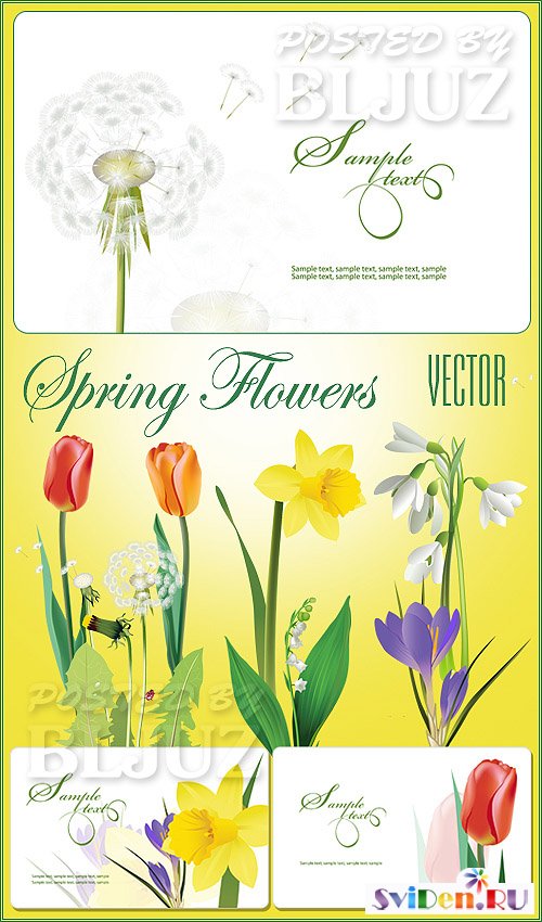 Клипарт векторный - Цветочки весны