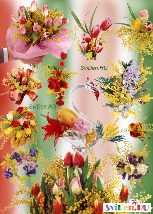 Клипарт для Фотошопа - Цветы красавицы весны