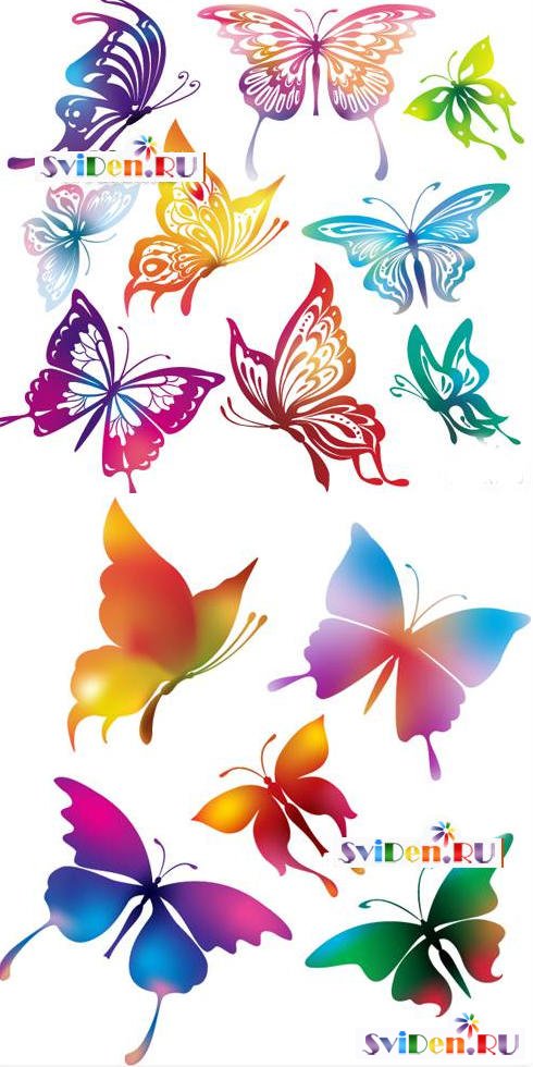 Клипарт векторный - Красочные изящные бабочки