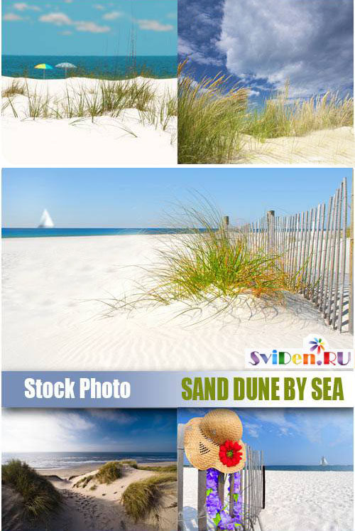 Клипарт растровый - Пляж и песчаные дюны