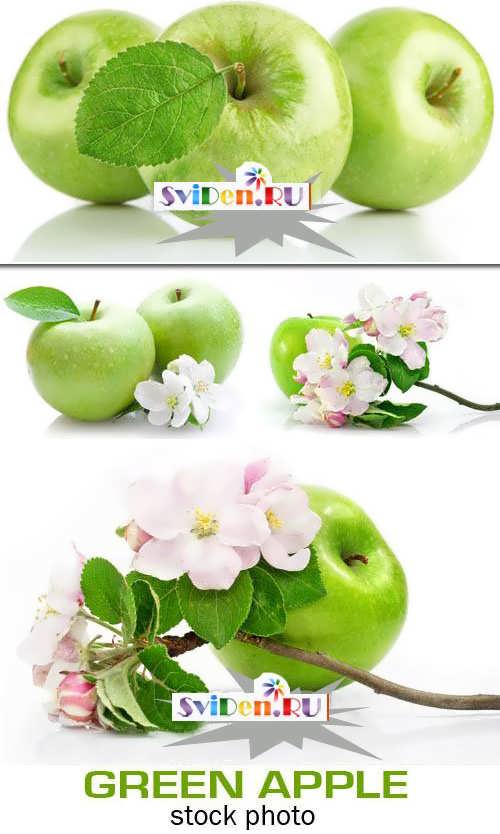 Клипарт растровый - Зелёные яблоки
