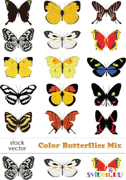 Клипарт векторный - Красочные бабочки
