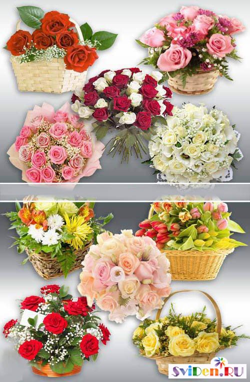 Клипарты Фотошопа -  Прекрасные букеты цветов