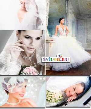 Клипарт фотоклипарт - Красивые невесты