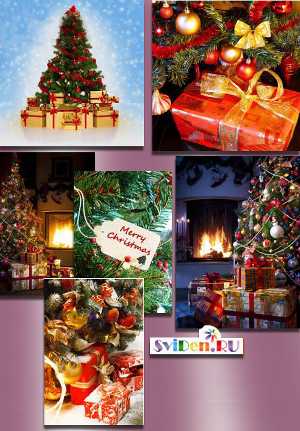 Новогодние ёлки с подарками - Клипарт Stock Photo