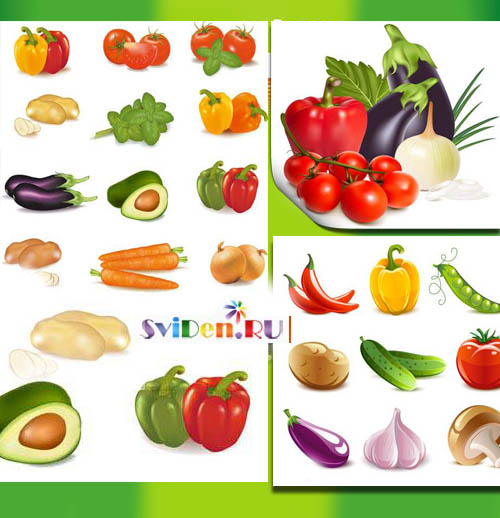 Разнообразные овощи в векторе