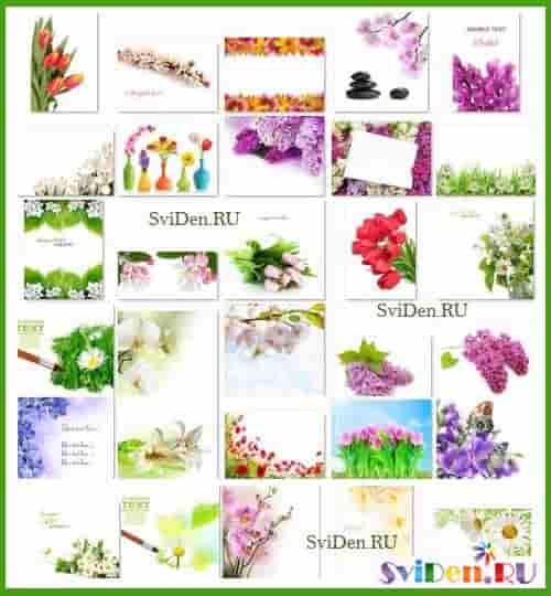 Весенние цветы открытки - Растровые клипарты