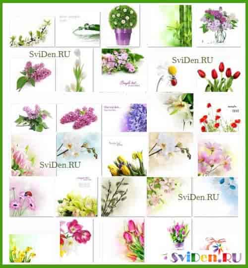 Весенние цветы открытки - Растровые клипарты