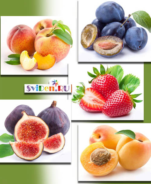 Растровый клипарт - Спелые фрукты, ягоды
