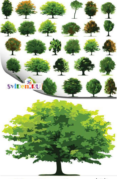 Векторный клипарт - Разнообразные деревья