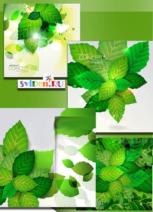 Векторный клипарт - Открытки с зелёными листьями