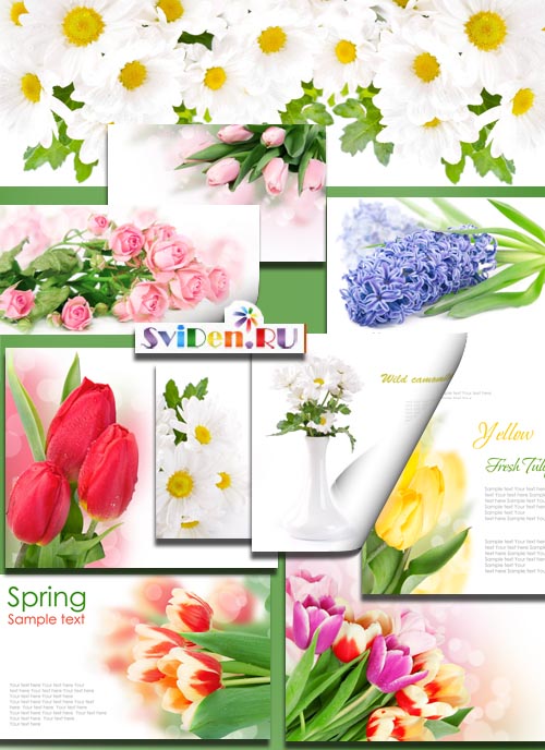 Растровый клипарт - Прекрасные цветочные открытки