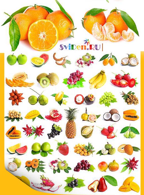 Растровый клипарт - Свежие фрукты, ягоды - большая фруктово-ягодная коллекция