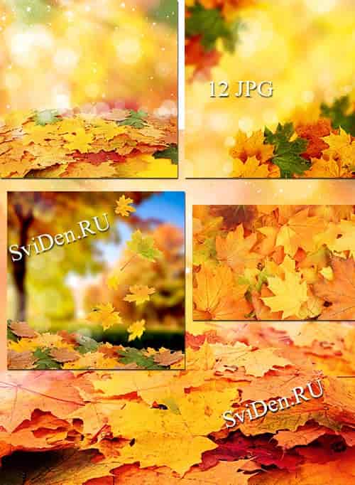 Осенний растровый клипарт - Autumn raster clipart